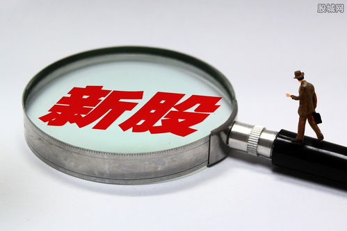 688223晶科能源中签号公布及新股上市信息