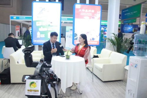 精准把握市场动向，沈阳伟嘉以技术驱动服务创新