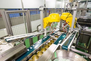 在完美，他们是工人，更是工匠